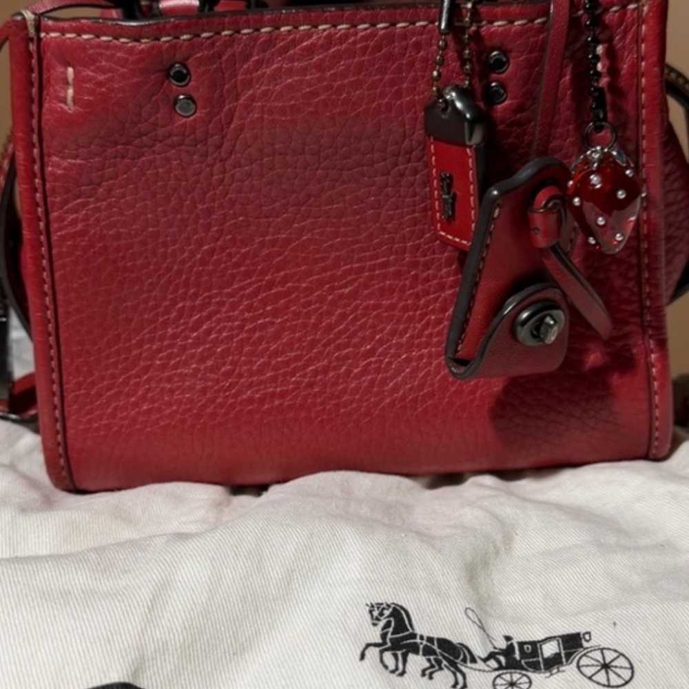 Coach Rogue 17